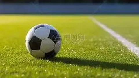 天津体育总局力挺津门虎，连续24年投资2300万豪购外籍强援，打造足球豪门新篇章！